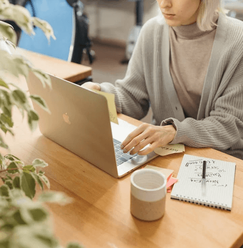 Wesen Gainflux Abbildung des Betreuungsteams